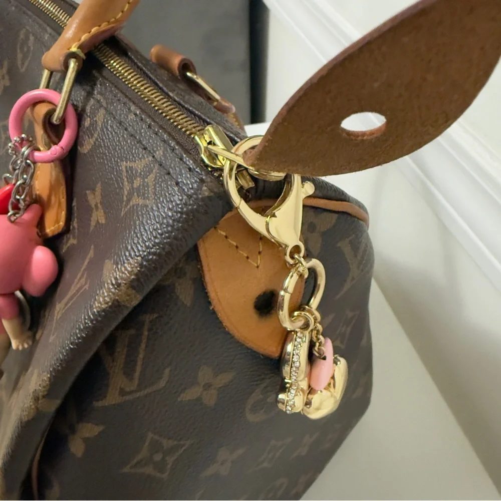 Louis Vuitton Speedy 30 Handbag - Picture 5 of 14